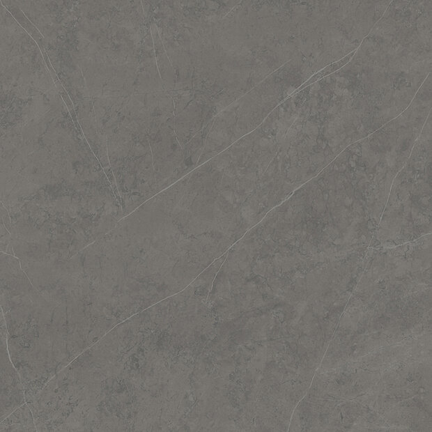 Liem Grey Polished 120x120